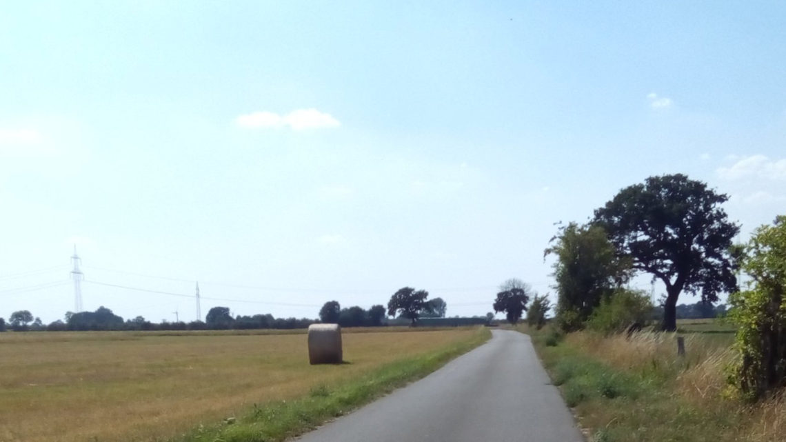 Sechster Tag : Dienstag, 7.August – „Durch die Wüste“ (Training)