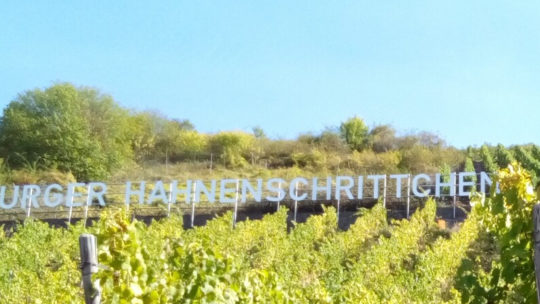 Die Mosel entlang