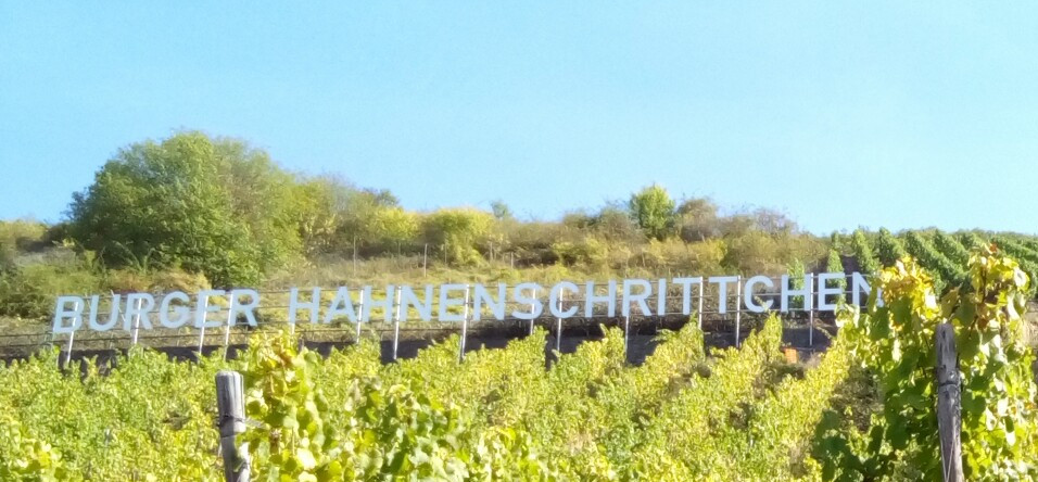 Die Mosel entlang