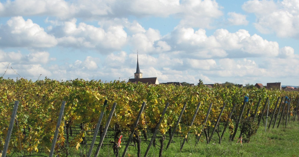 „Verweile doch, ich bin so schön“ – Dienstag, 14. Oktober 2014