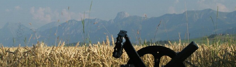 Ein schöner Tag in Rüeggisberg – 23.7.2019