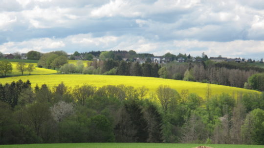 Eskapade Nr. 2/2021 – Wied-Radweg