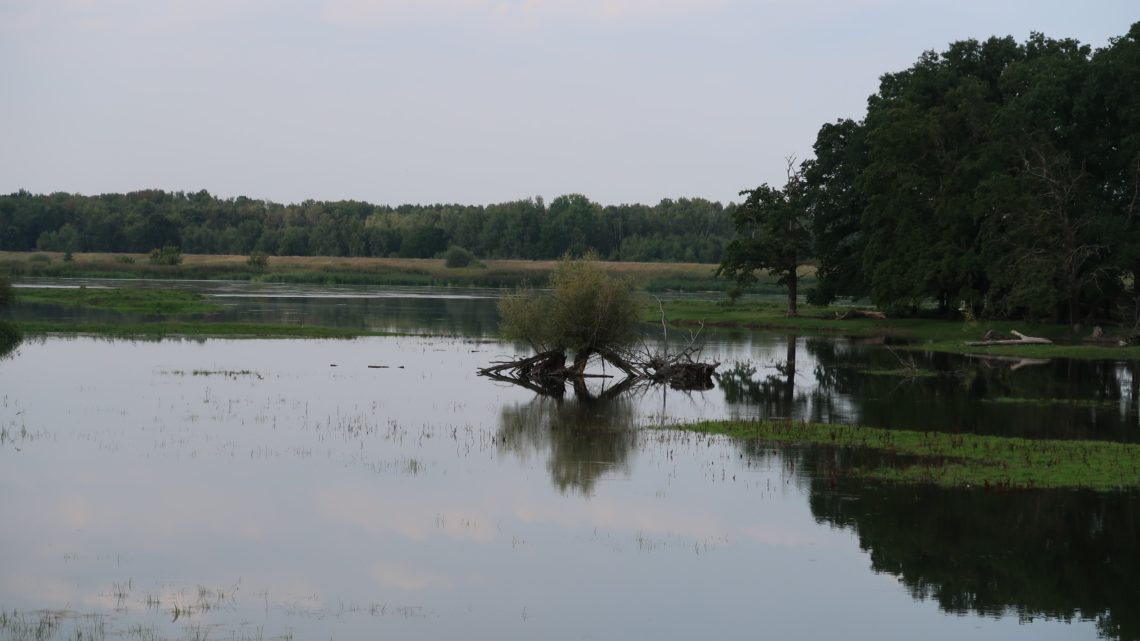 Spätsommer 21 – Neiße, oder? Oder!