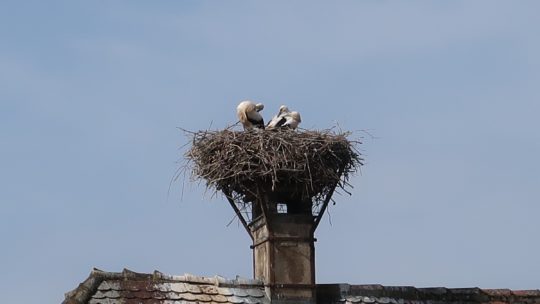 Rheinaufwärts –  vierter Teil: Neuf-Brisach