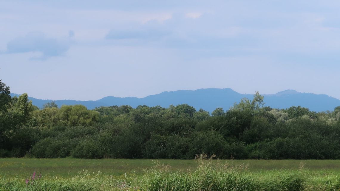 Zurück im Einzugsgebiet des Rheins