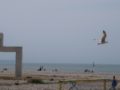 Am Meer