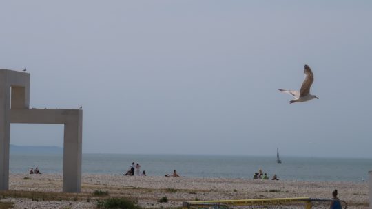 Am Meer