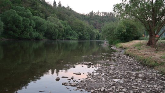 Pfingsten an der Moldau